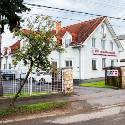 Bemutatkozik a Szent Lukács Görögkatolikus Integrált Gyermekrehabilitációs és Szociális Központ